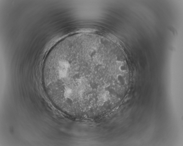 X0000110690337200907101153