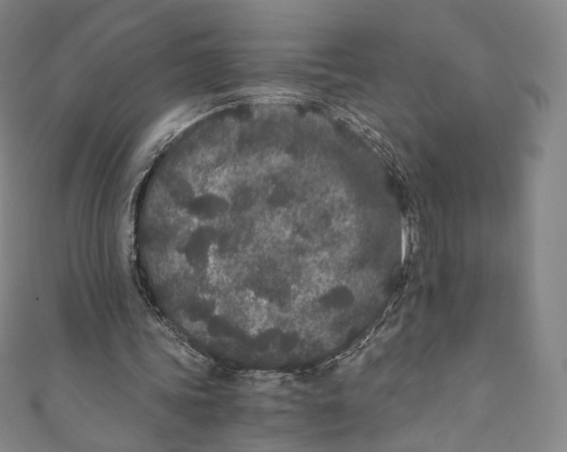 X0000110690339200907101153