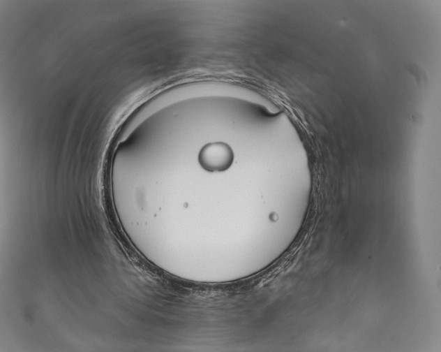 X0000110690340200907101153