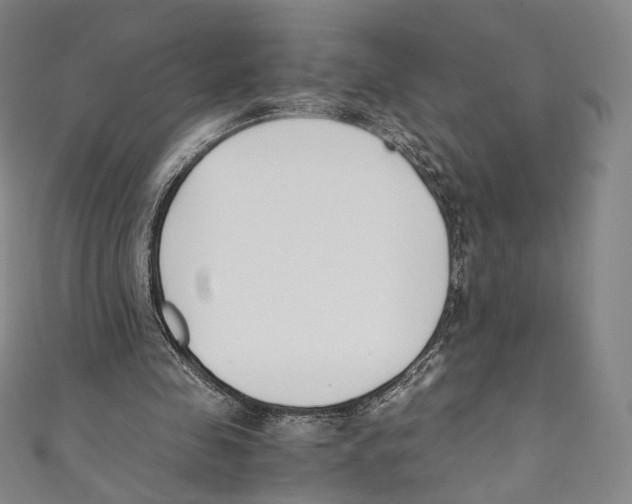 X0000110690341200907101153