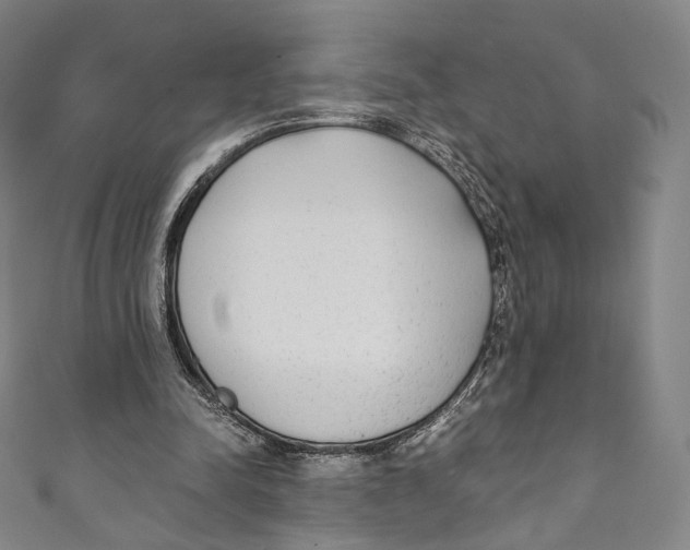 X0000110690342200907101153