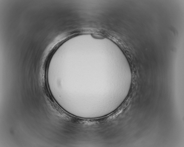 X0000110690343200907101153