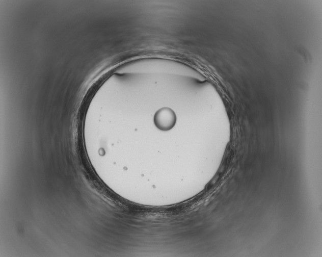 X0000110690344200907101153