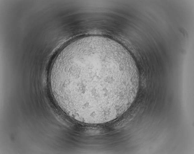 X0000110690347200907101153