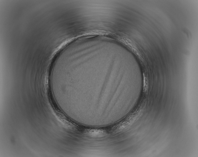 X0000110690348200907101153