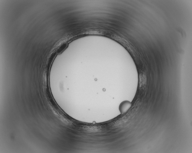 X0000110690349200907101153