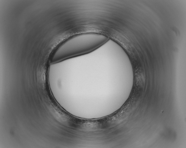 X0000110690350200907101153