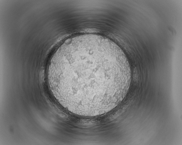 X0000110690351200907101153