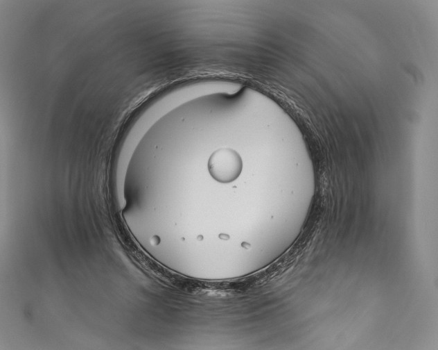 X0000110690352200907101153