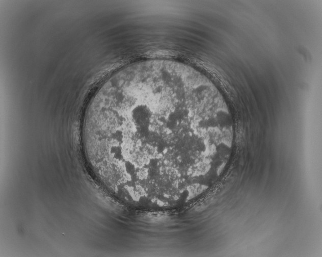 X0000110690353200907101153