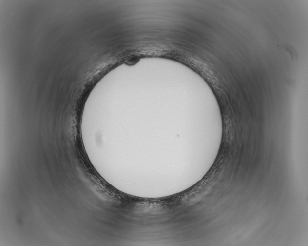 X0000110690354200907101153