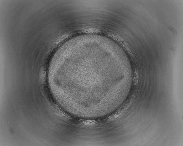 X0000110690355200907101153