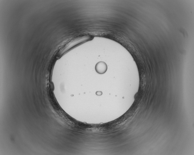 X0000110690356200907101153