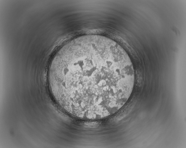 X0000110690357200907101153