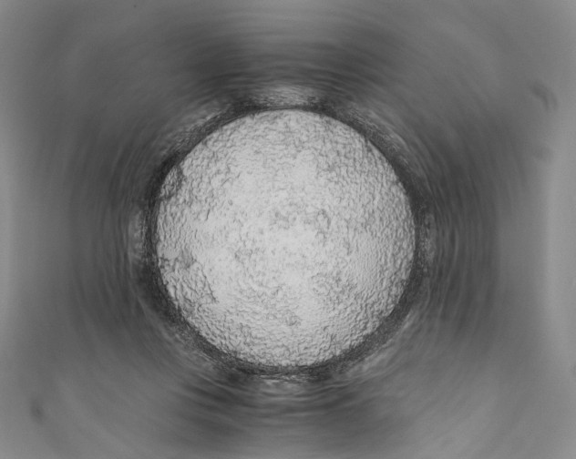 X0000110690359200907101153