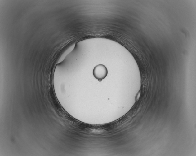 X0000110690360200907101153