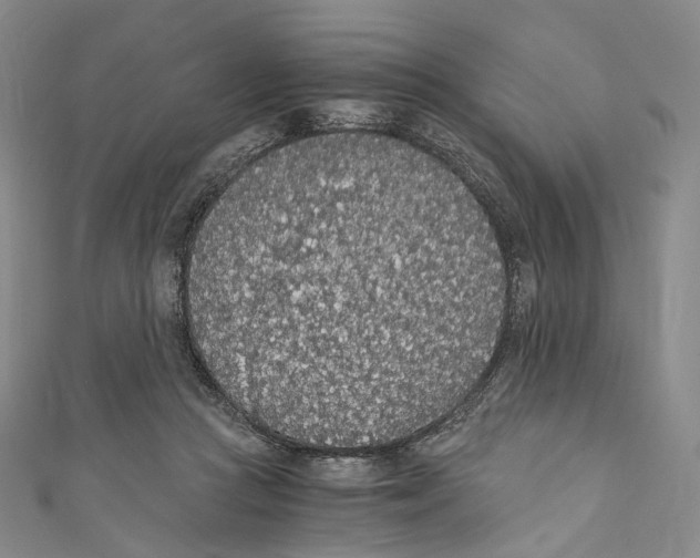 X0000110690361200907101153