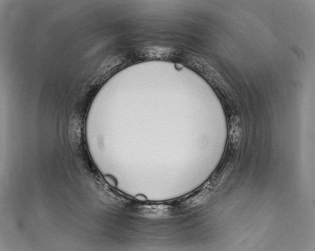 X0000110690363200907101153