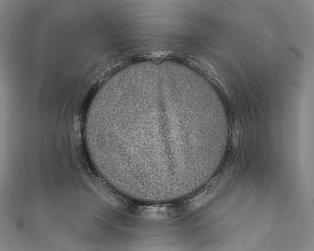 X0000110690366200907101153