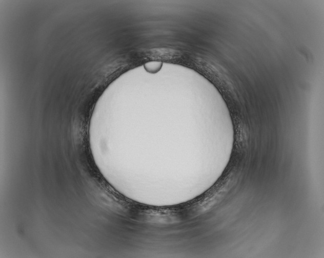 X0000110690367200907101153