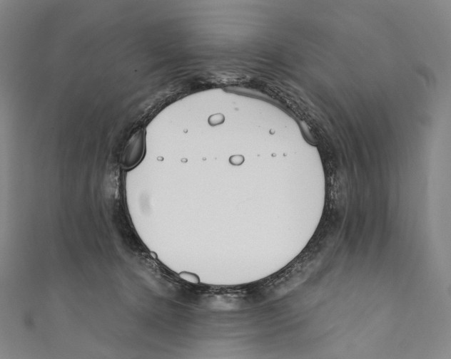 X0000110690368200907101153