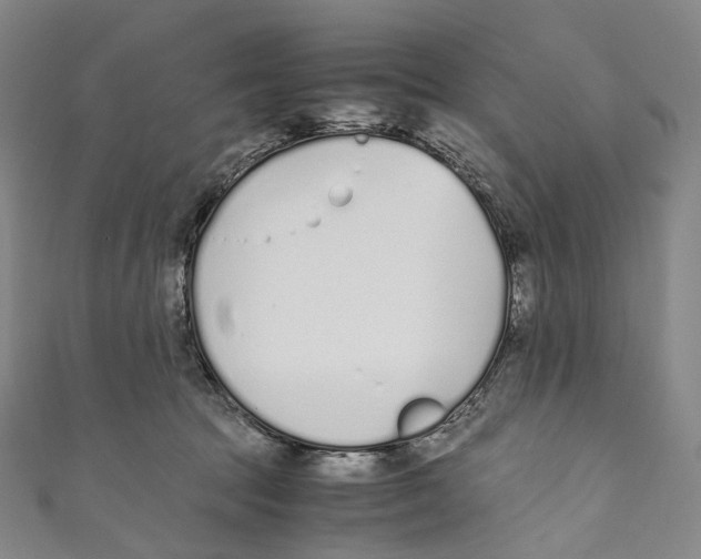 X0000110690369200907101153