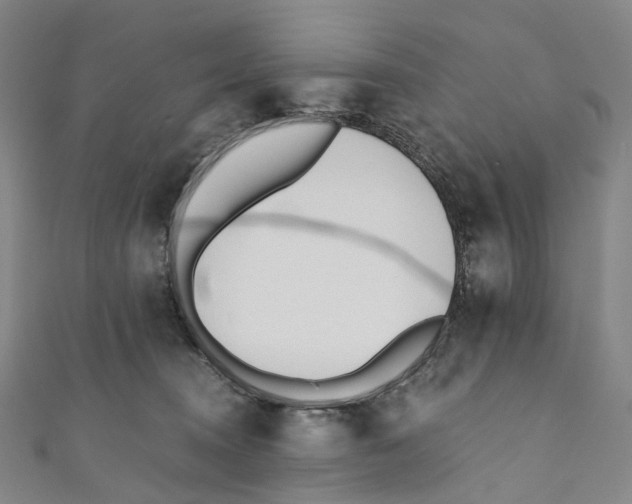 X0000110690372200907101154