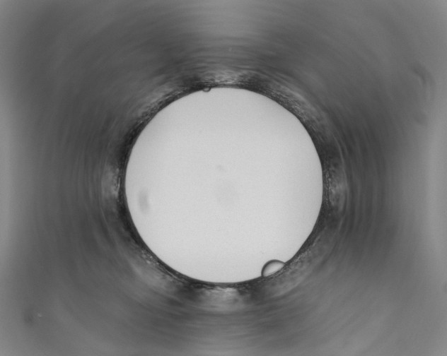 X0000110690374200907101154