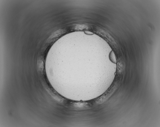 X0000110690375200907101154