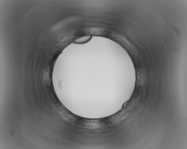 X0000110690377200907101154