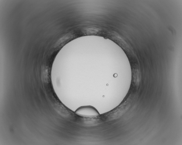 X0000110690378200907101154