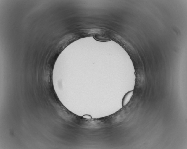 X0000110690379200907101154