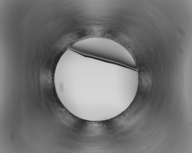 X0000110690380200907101154