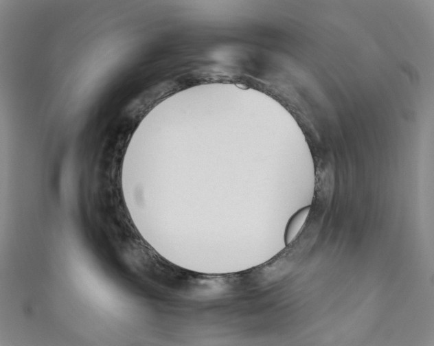 X0000110690381200907101154