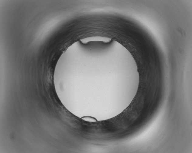 X0000110690382200907101154