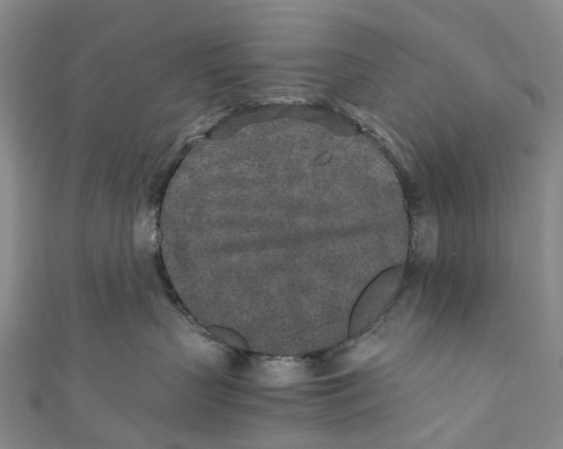 X0000110690383200907101154