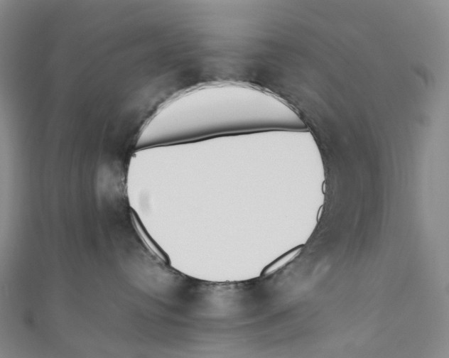 X0000110690384200907101154