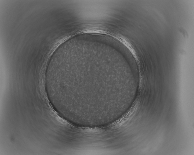 X0000110690385200907101153