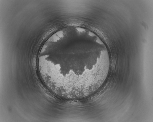 X0000110690386200907101153