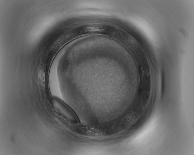 X0000110690387200907101153