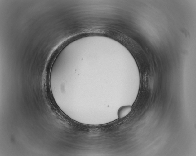 X0000110690388200907101153