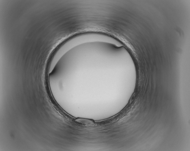 X0000110690391200907101153