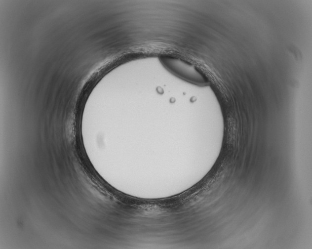 X0000110690392200907101153