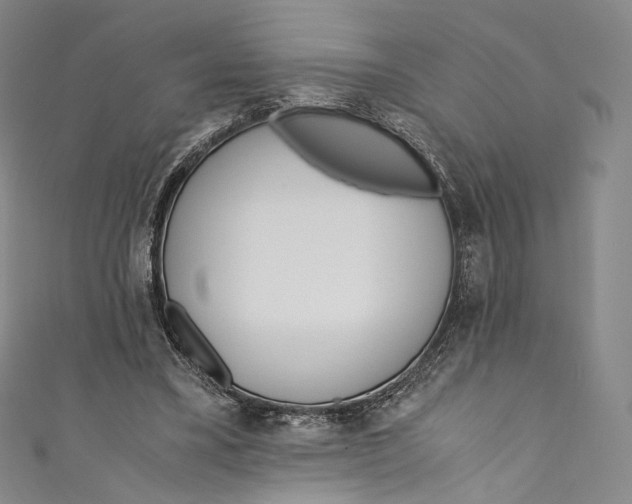 X0000110690395200907101153