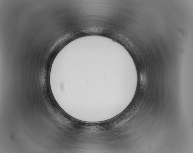 X0000110690396200907101153