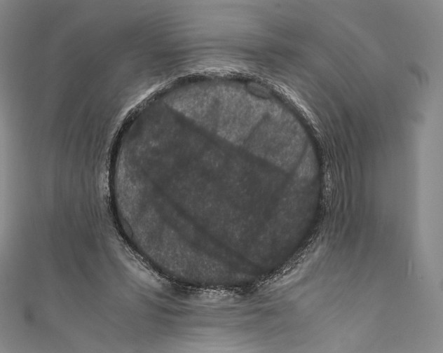 X0000110690399200907101153