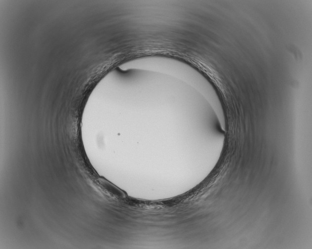 X0000110690401200907101153