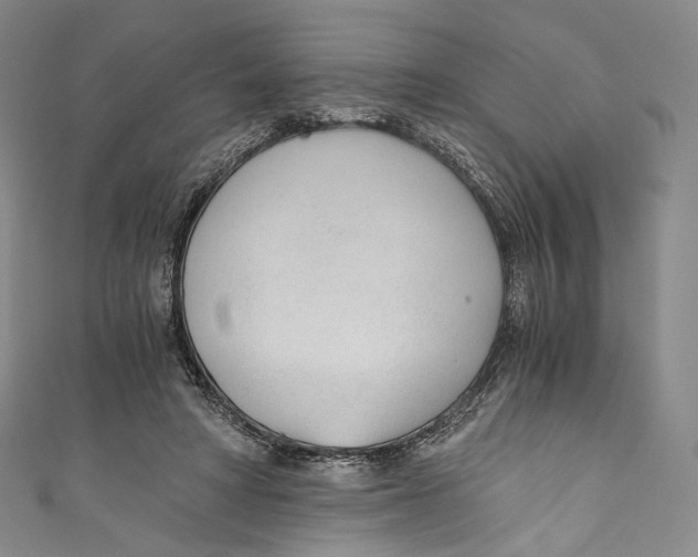 X0000110690402200907101153