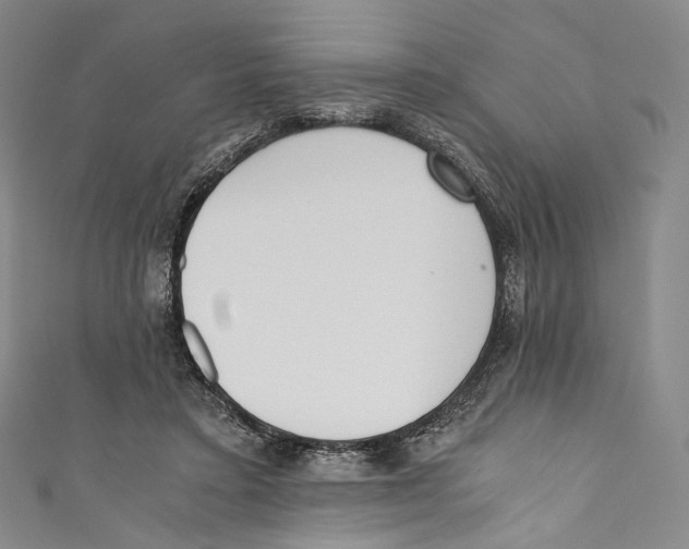 X0000110690403200907101153