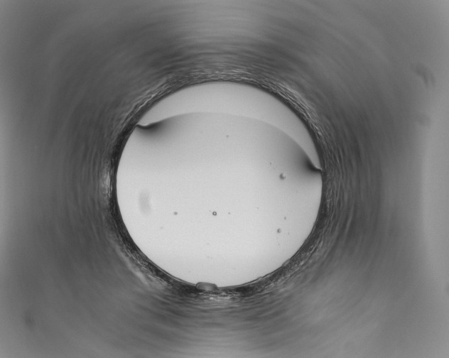 X0000110690405200907101153